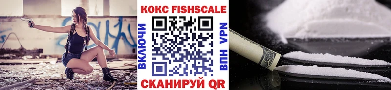 мориарти какой сайт  mega как войти  Мурино  COCAIN Эквадор 
