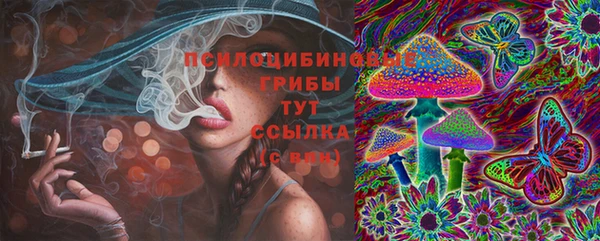 метадон Аркадак