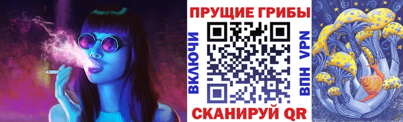 Галлюциногенные грибы Psilocybine cubensis  Мурино 